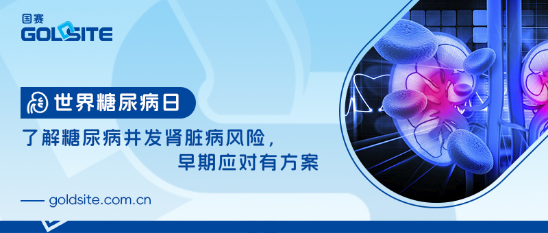 世界糖尿病日：了解糖尿病并发肾脏病风险，早期应对有(yǒu)方案