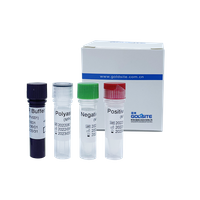 Kit de PCR para el virus de la viruela del mono (MPXV)