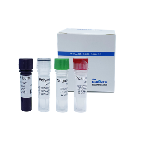 فيروس جدري القردة (MPXV) مجموعة PCR