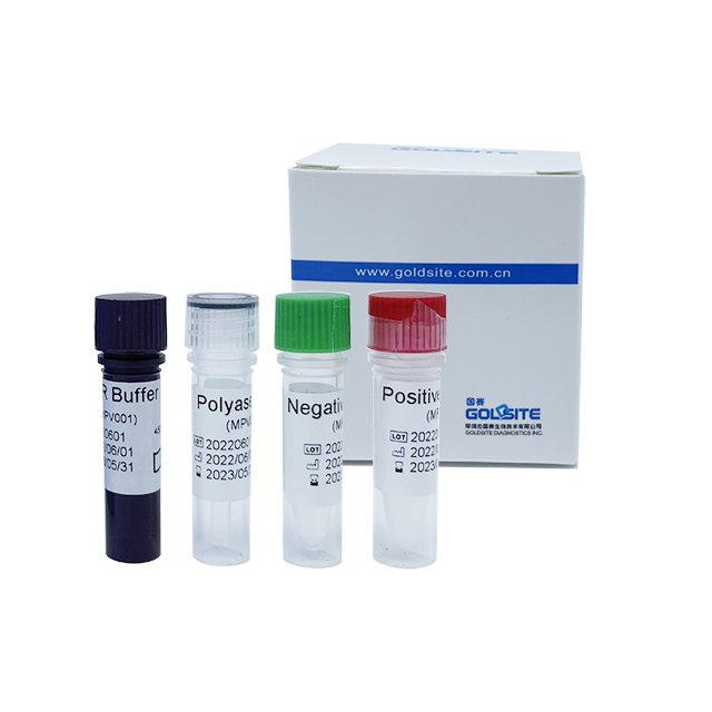 فيروس جدري القردة (MPXV) مجموعة PCR