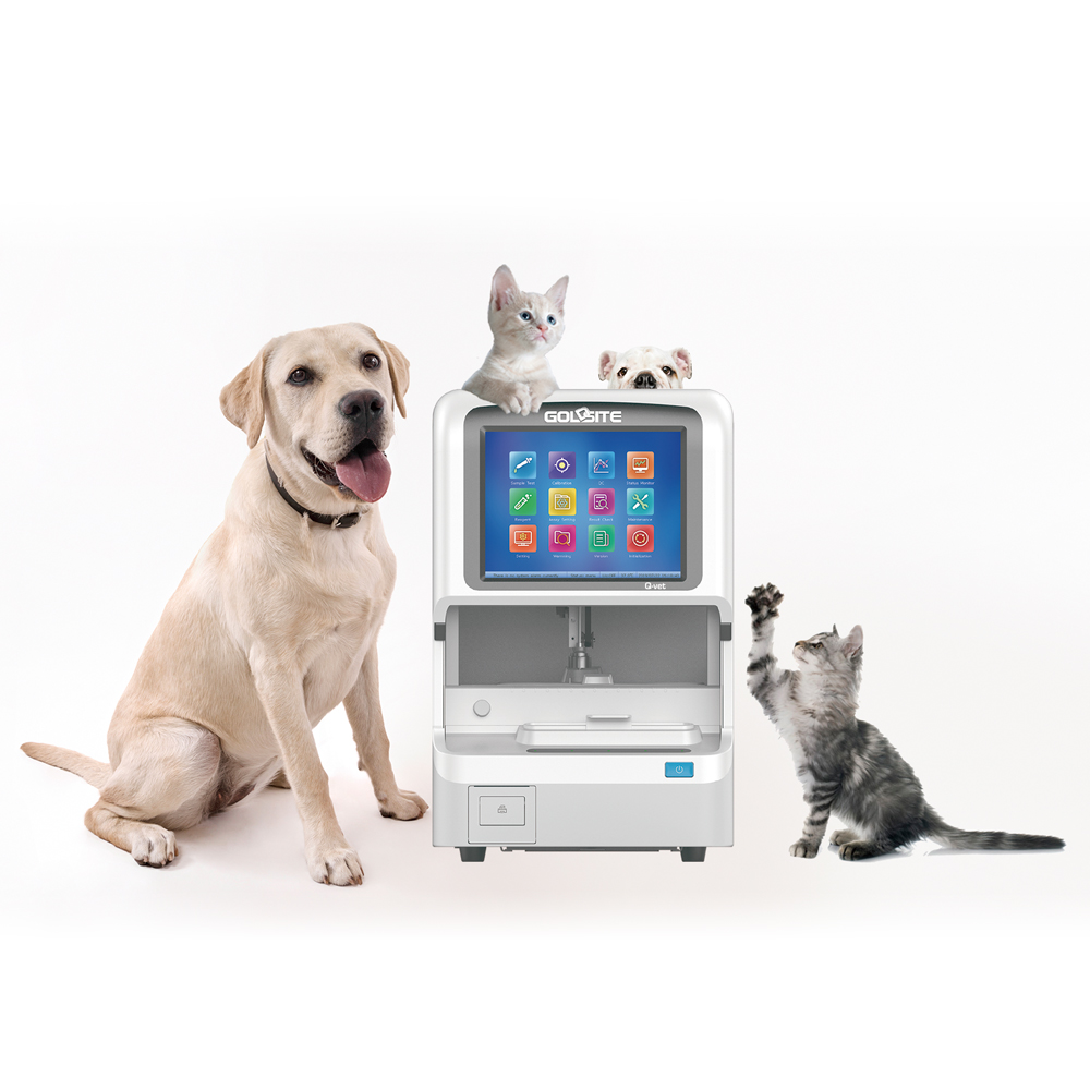 Q-Vet Clinical Chemistry Analyzer For Veterinary