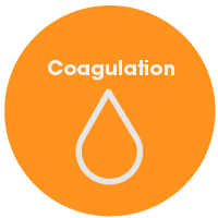 coagulation