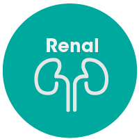 renal