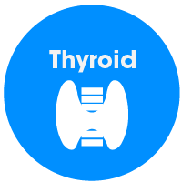 thyroid